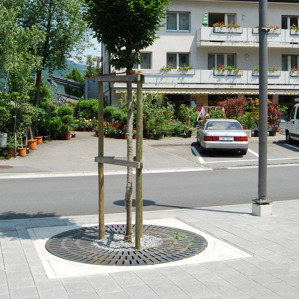 COPAL® CUPOLA Baumwurzelraumschutz