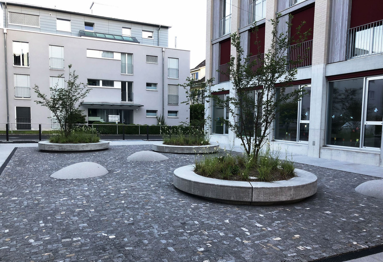 Bauminseln in Innenhof