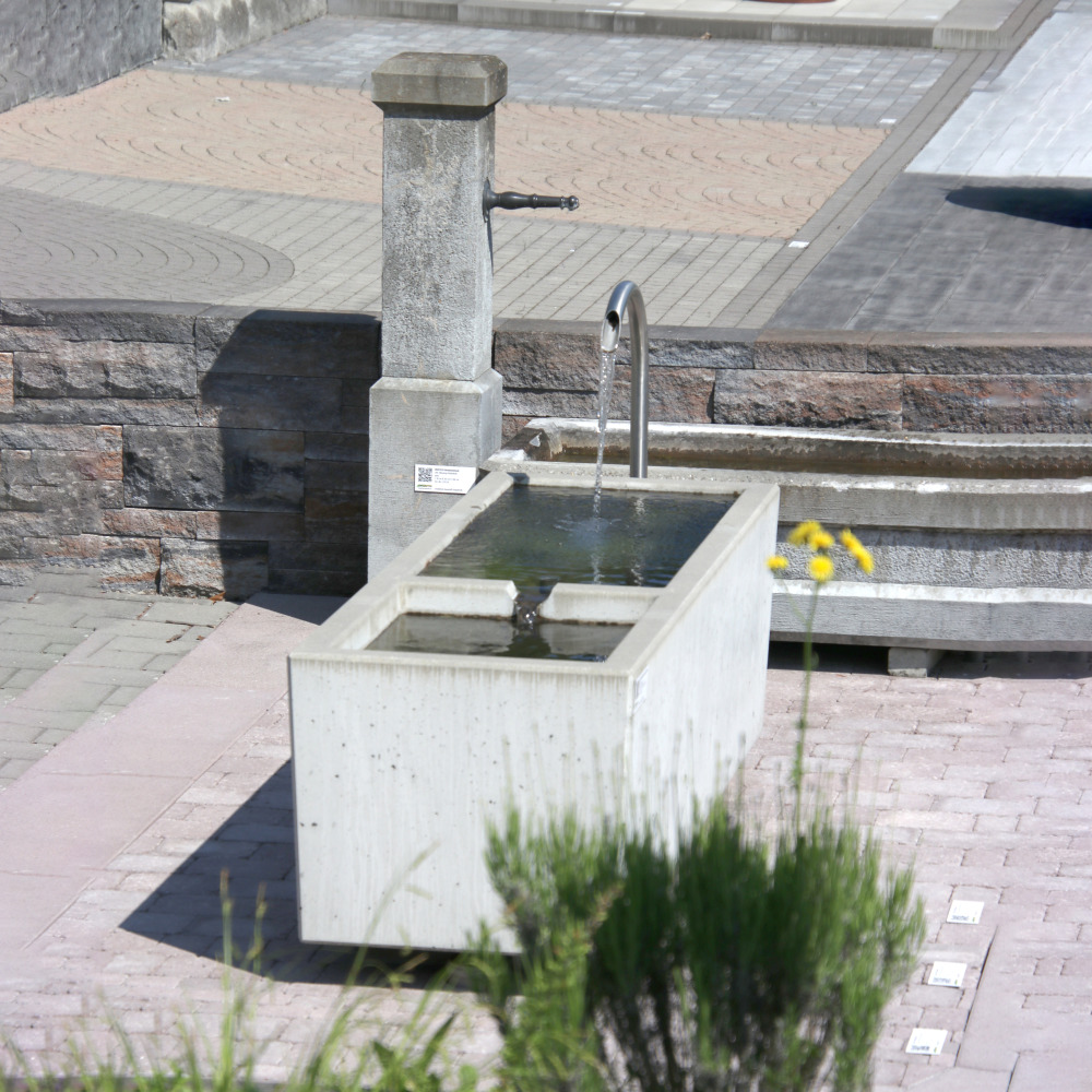 BAUERNHOF Brunnentröge