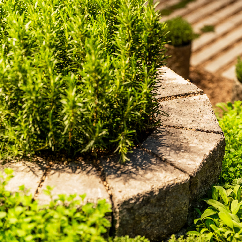 SANTURO® Kräuterschnecke Finito