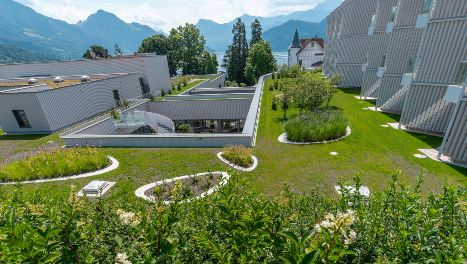 Pflanzeninseln, Chenot Palace, Weggis