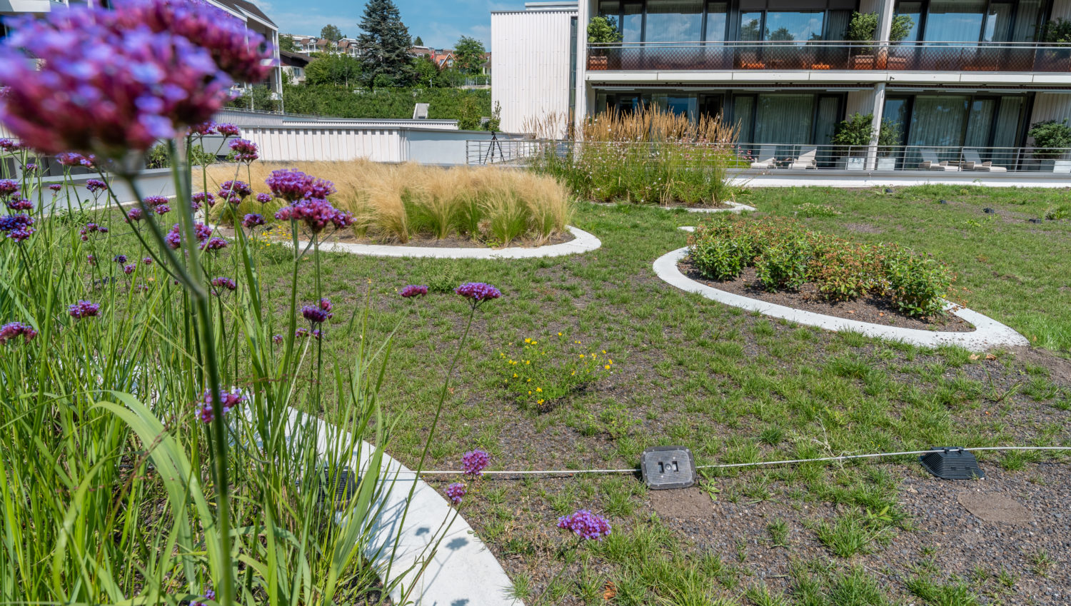 Pflanzeninseln, Chenot Palace, Weggis